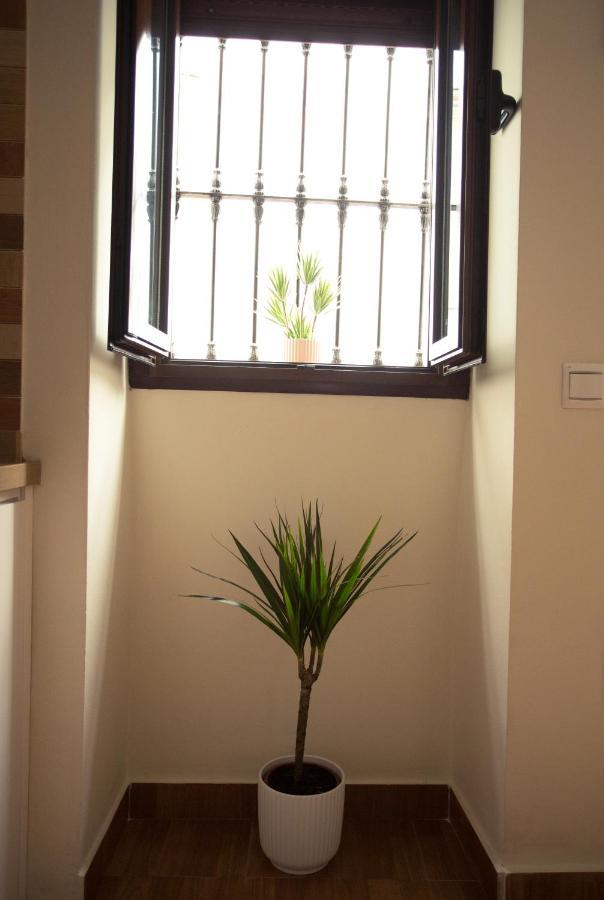 Apartamento Entrecaminos Setenil De Las Bodegas Exteriér fotografie